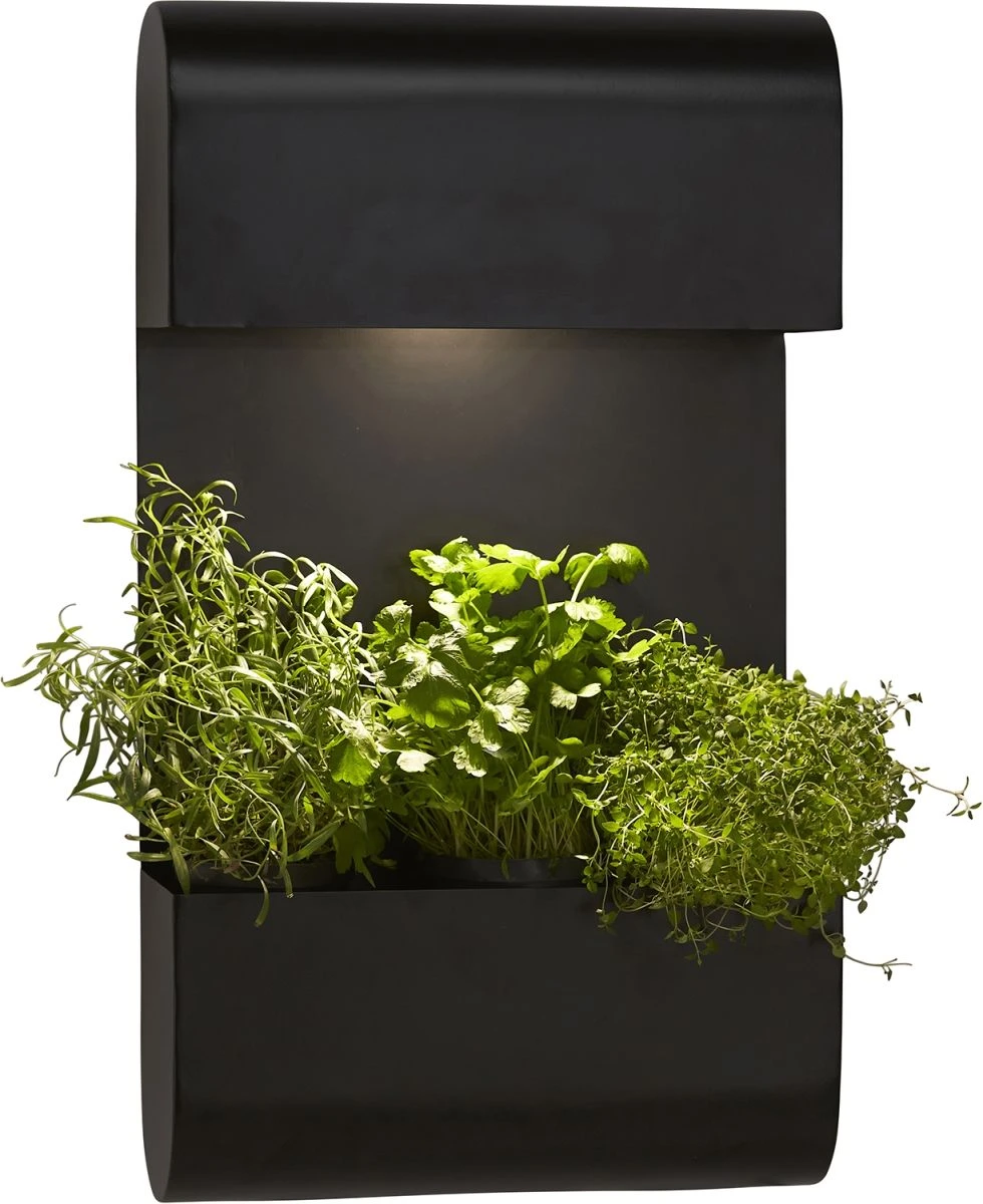 PR Home Planta Wandleuchte Für Außen U. Innen Mit Pflanzkasten Schwarz E27 IP44 70x40x14cm – Bild 2